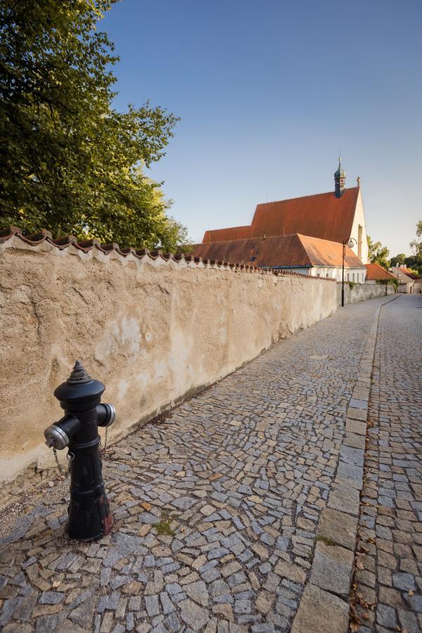 Pštrossova Vila - u klášterní zahrady Bechyně Exteriér fotografie
